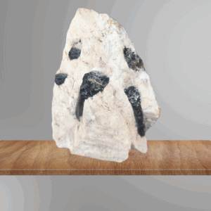 [VENDU]-Tourmaline sur gangue,12cm hauteur