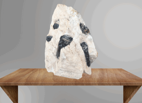 [VENDU]-Tourmaline sur gangue,12cm hauteur